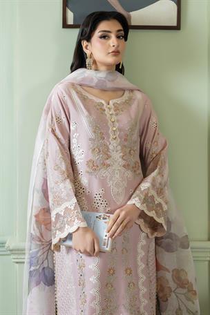 Women's Designer Collection