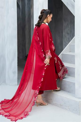 Women's Designer Collection