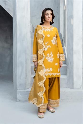 Buy Online pakistani designer suits