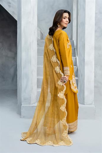 Women's Designer Collection