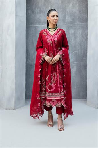 Women's Designer Collection