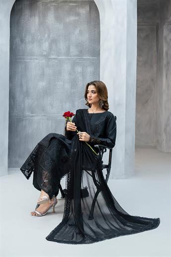 Women's Designer Collection