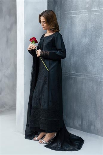 Women's Designer Collection