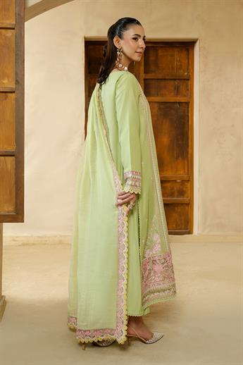 Women's Designer Collection