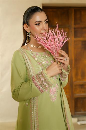 Women's Designer Collection