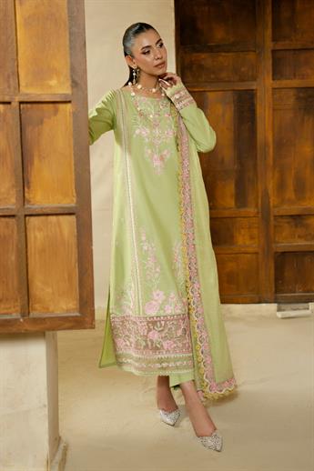 Women's Designer Collection