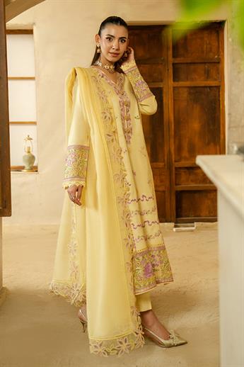 Women's Designer Collection