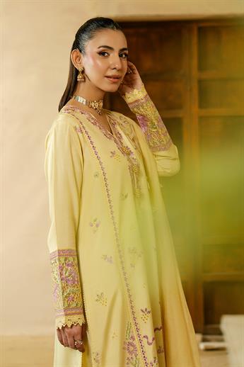 Women's Designer Collection