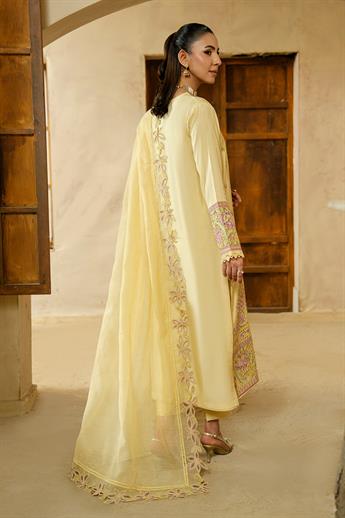 Women's Designer Collection