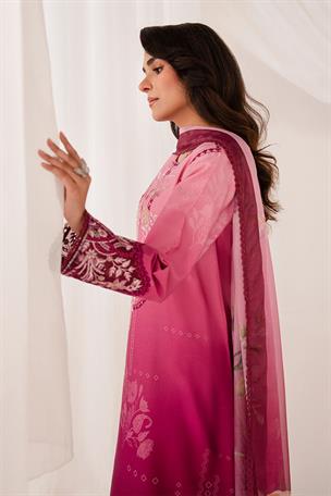 Women's Designer Collection