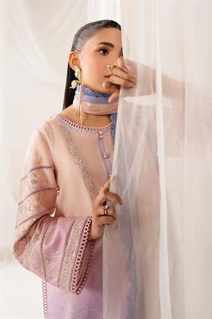 Women's Designer Collection