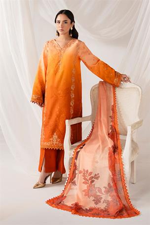 Women's Designer Collection