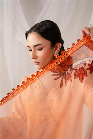 Women's Designer Collection