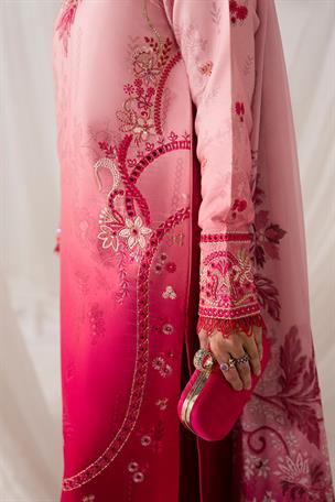 Women's Designer Collection