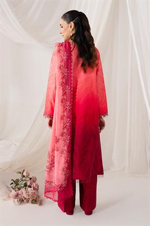 Women's Designer Collection