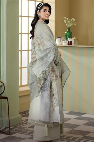 Women's Designer Collection