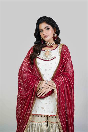 Women's Designer Collection
