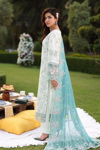 Women's Designer Collection