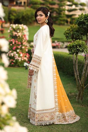Women's Designer Collection