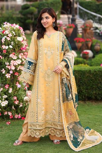 Women's Designer Collection