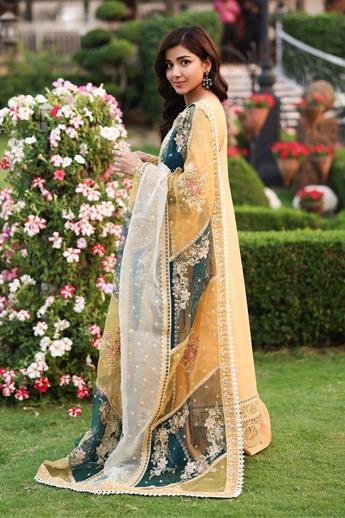 Women's Designer Collection