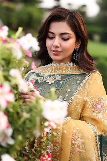 Women's Designer Collection