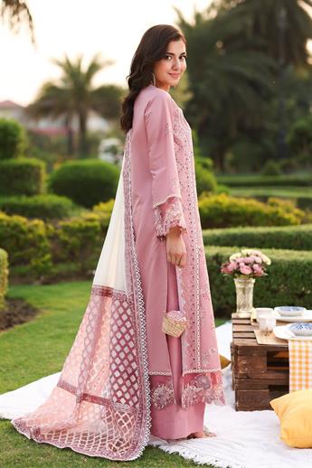 Women's Designer Collection