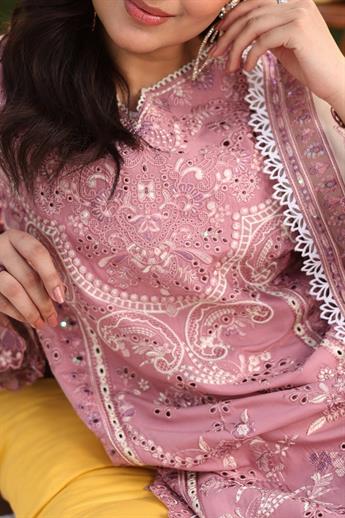 Women's Designer Collection