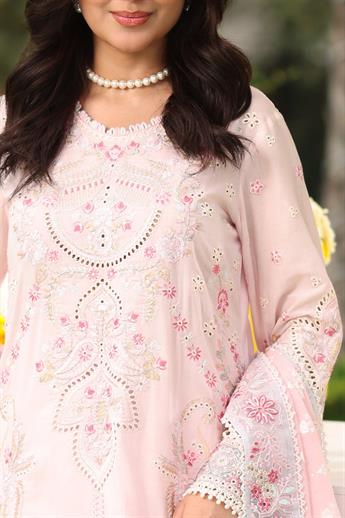 Women's Designer Collection