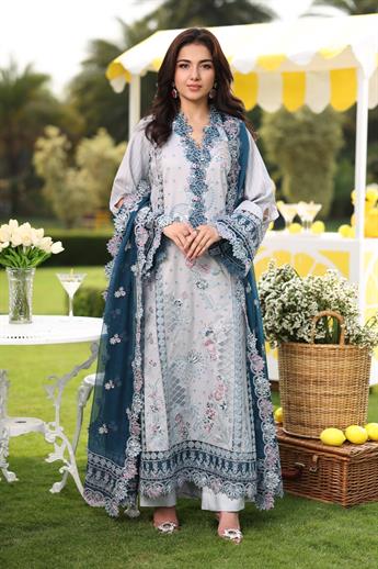 Women's Designer Collection