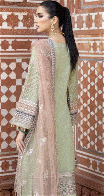 Women's Designer Collection