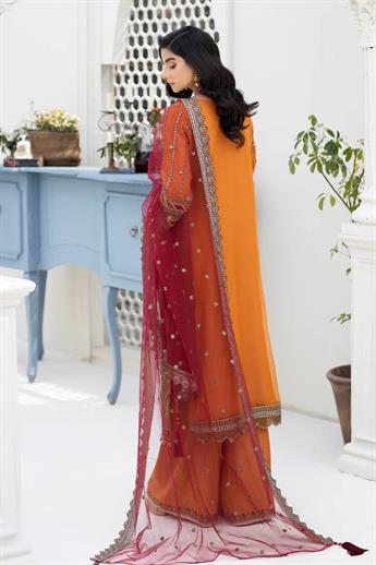 Women's Designer Collection