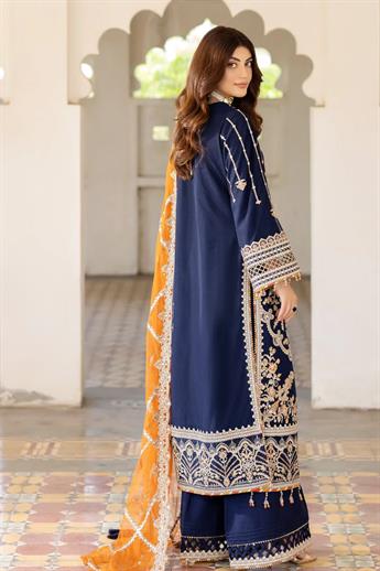 Women's Designer Collection