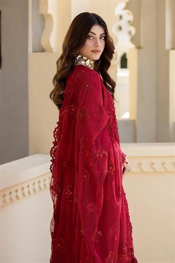 Women's Designer Collection