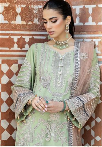 Women's Designer Collection