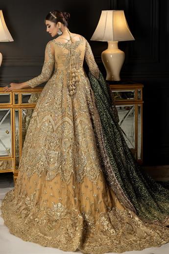 Women's Designer Collection