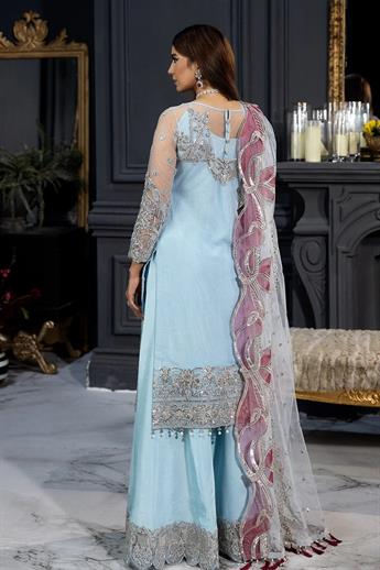 Women's Designer Collection