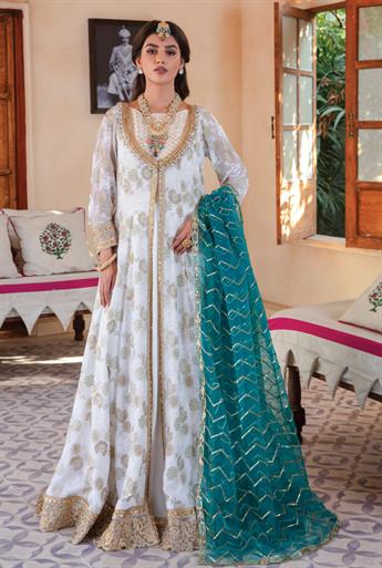Women's Designer Collection