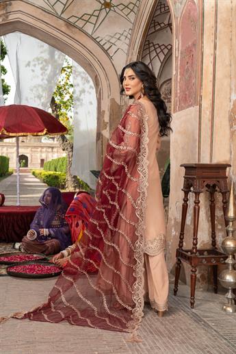 Women's Designer Collection