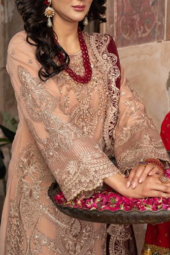 Women's Designer Collection