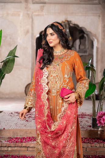 Women's Designer Collection