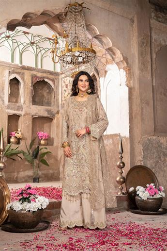 Women's Designer Collection