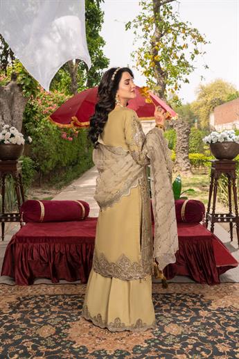 Women's Designer Collection