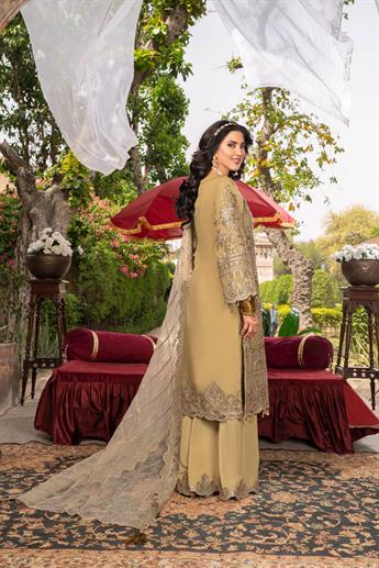 Women's Designer Collection