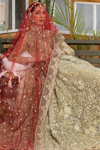 Women's Designer Collection