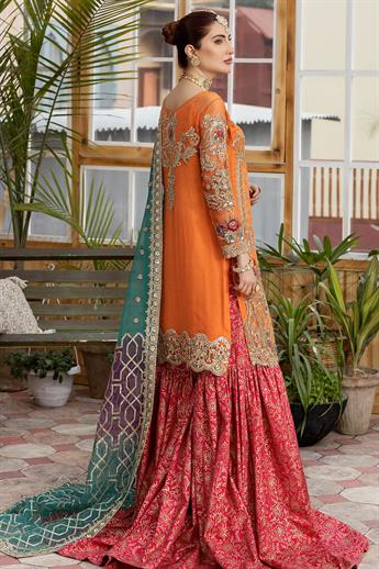 Women's Designer Collection