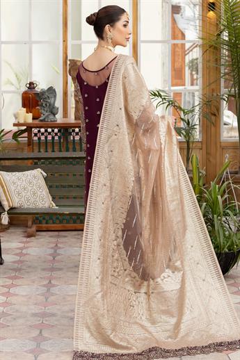 Women's Designer Collection