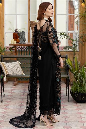 Women's Designer Collection