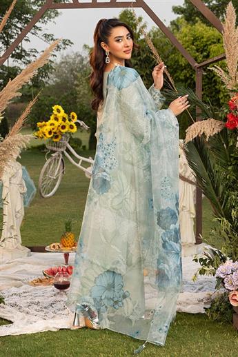 Women's Designer Collection