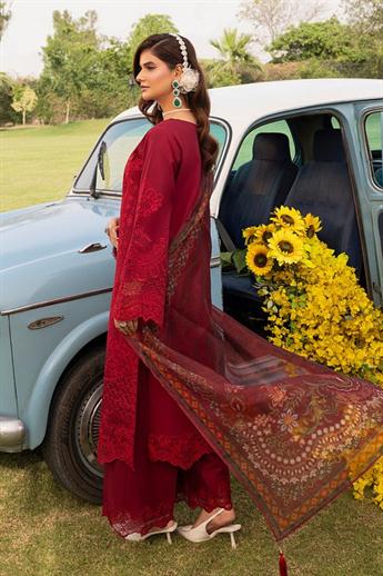 Women's Designer Collection